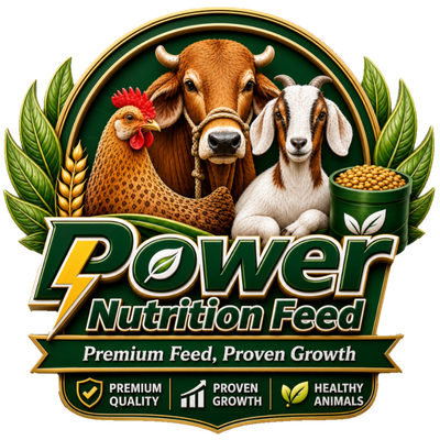 POWER NUTRITION FEED